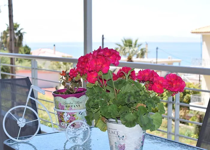 Apartman Studio Holiday