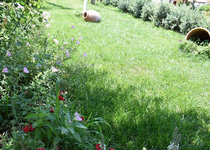 Apartman Studio Holiday *