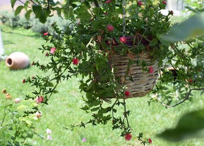 Studio Holiday Kalamáta