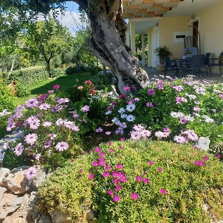 Διαμέρισμα Studio Holiday