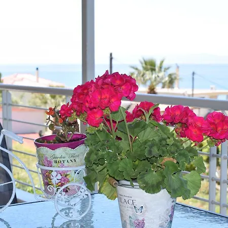 Διαμέρισμα Studio Holiday