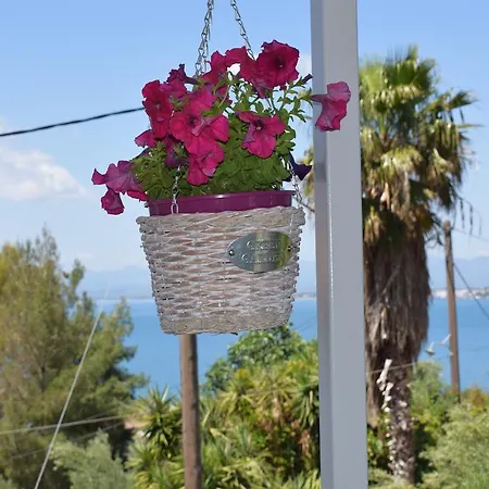 Studio Holiday Lejlighed *