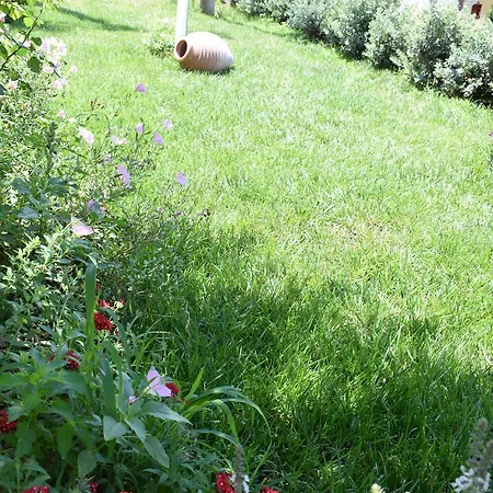 Lejlighed Studio Holiday *