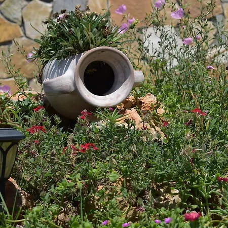 Studio Holiday Lejlighed Kalamata