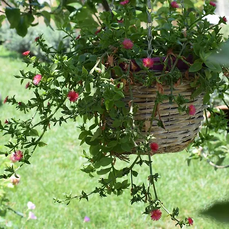 Studio Holiday Kalamata