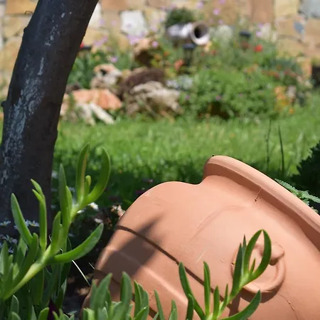 Studio Holiday * Kalamata